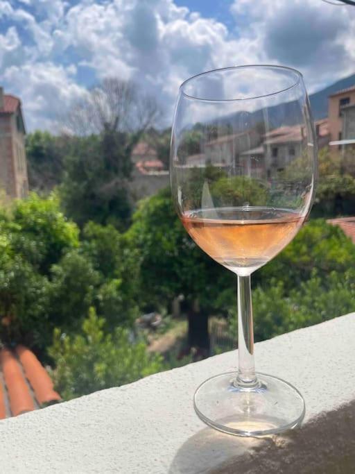 Appartement Neuf, Grande Terrasse Plein Sud Laroque-des-Albères Eksteriør billede